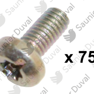 Vis  (x75)  -  Saunier  Duval  -  ref  05482500