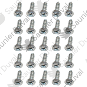 Vis  (x25)  -  Saunier  Duval  -  ref  05484200