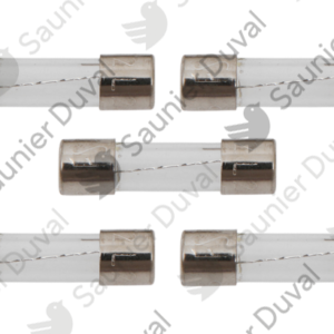 Fusible 2A (x5) - Saunier Duval - ref 05651700