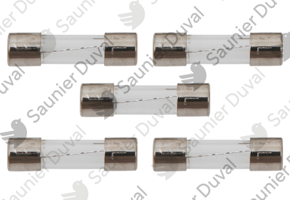 05651700.png Fusible 2A (x5) - Saunier Duval - ref 05651700