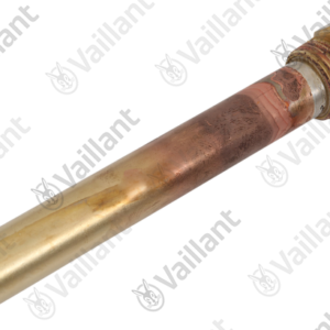Doigt  de  gant  -  Vaillant  -  ref  060058