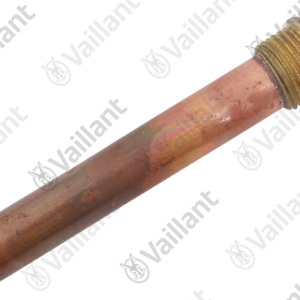 Doigt  de  gant  -  Vaillant  -  ref  060631