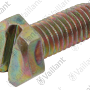 Vis  hexagonale  -  Vaillant  -  ref  070361