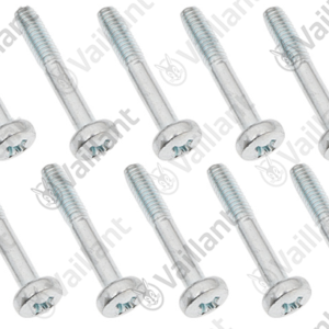 Vis  (x10)  -  Vaillant  -  ref  105831