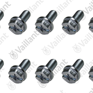 Vis  (x10)  -  Vaillant  -  ref  105839