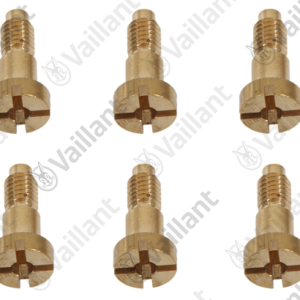 Vis  (x5)  -  Vaillant  -  ref  111979