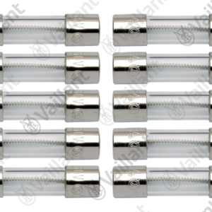 Fusible  1  25  AT  (x10)  -  Vaillant  -  ref  251961
