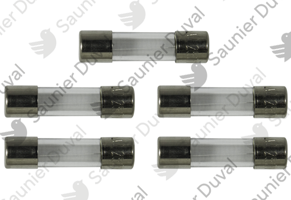 S1013900.png Fusible 800mA (x5) - Saunier Duval - ref S1013900