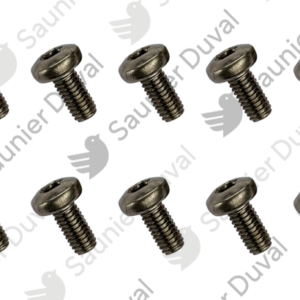 Vis  (x10)  -  Saunier  Duval  -  ref  S1043400