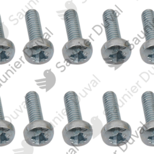 Vis  M4x12  (x10)  -  Saunier  Duval  -  ref  S1045900