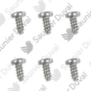 Vis  (x10)  -  Saunier  Duval  -  ref  S1250200