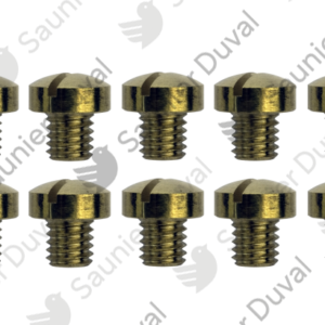 Vis  (x10)  -  Saunier  Duval  -  ref  S1252100