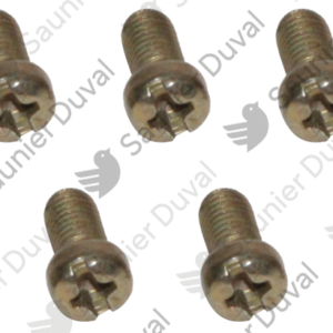 Vis  (x5)  -  Saunier  Duval  -  ref  S1253700