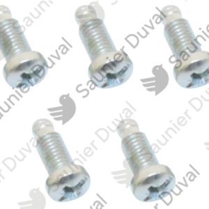 Vis  (x5)  -  Saunier  Duval  -  ref  S1254700