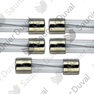 Fusible 125mA (x5) - Saunier Duval - ref S5408100