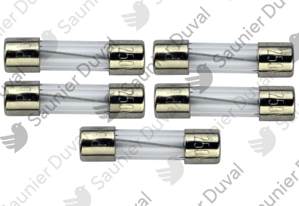 S5408100.png Fusible 125mA (x5) - Saunier Duval - ref S5408100