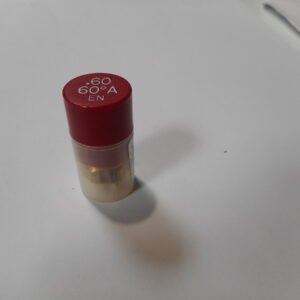GICLEUR  DELAVAN  0.60G  60  A  BF  -  De  Dietrich-Chappee  -  ref  S50032093