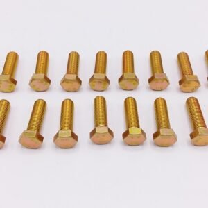 VIS  M16X50  (X20)  -  De  Dietrich-Chappee  -  ref  S100115