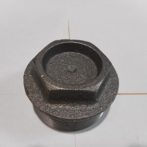 BOUCHON  2''  -  De  Dietrich-Chappee  -  ref  81120028
